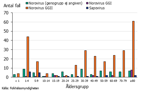 Stapeldiagram över vinterkräksjuka efter ålder och typ. Norovirus GGII för små barn dominerar