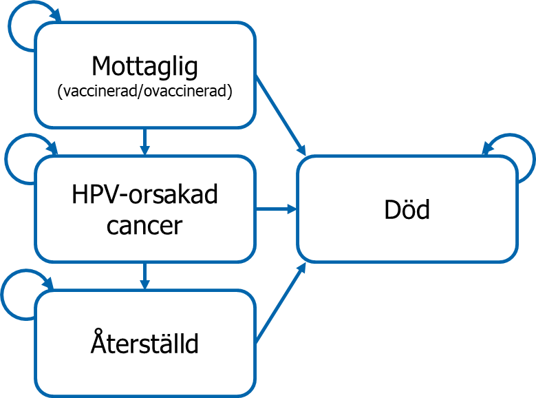 Förenklad illustration av SIR-modellen