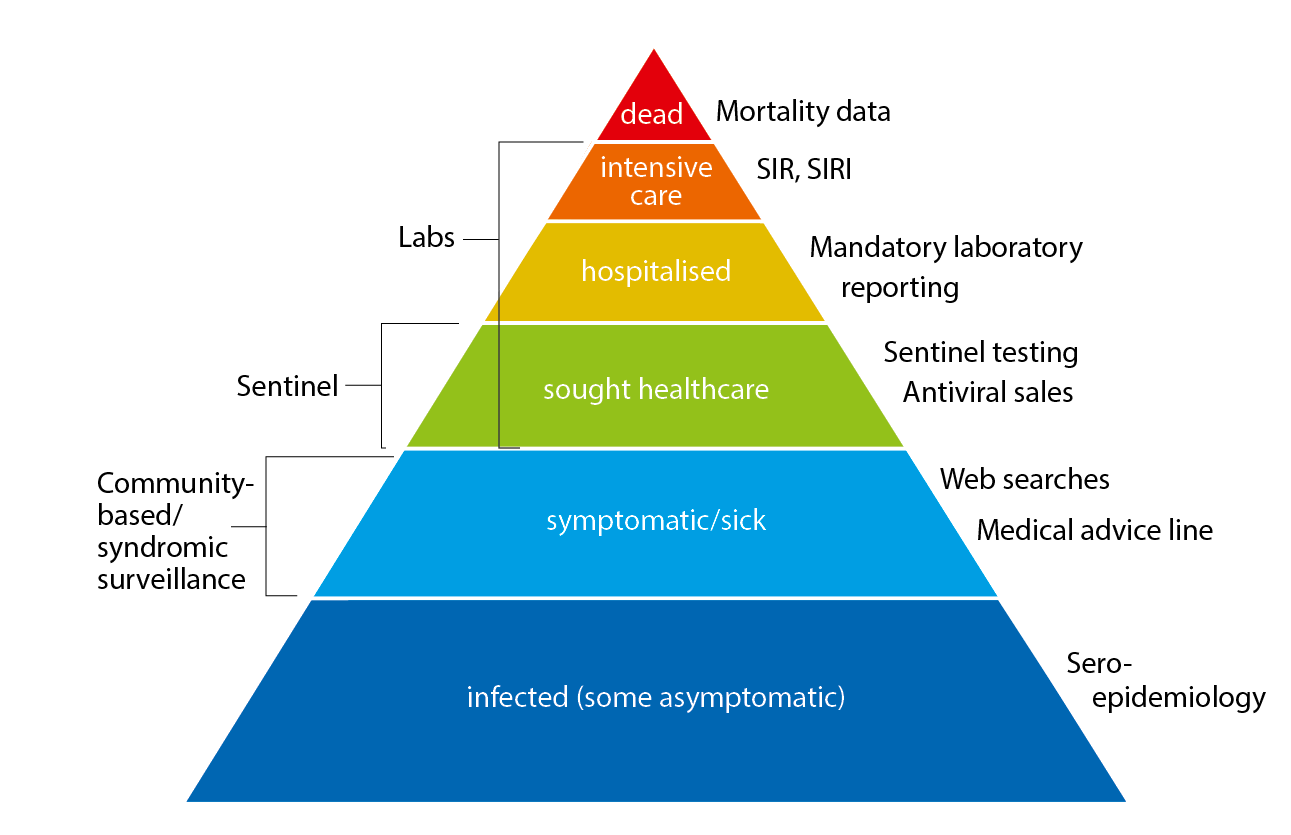 Description of outcomes and surveillance systems from the base of infected people to those with severe illness. 