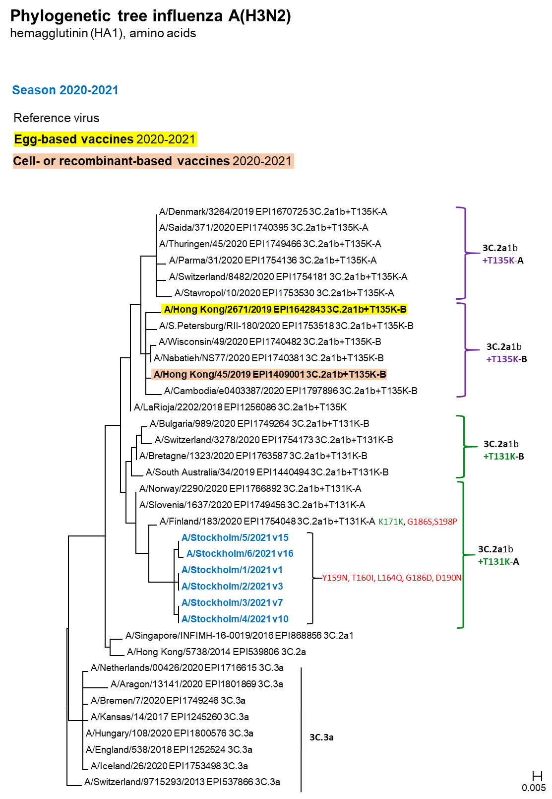 Phylogenetic tree for influenza A/H3N2.