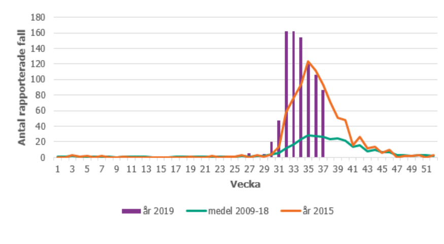 Figur. Antal rapporterade fall av harpest per vecka. Statistiken för 2019 sträcker sig fram till och med vecka 37.