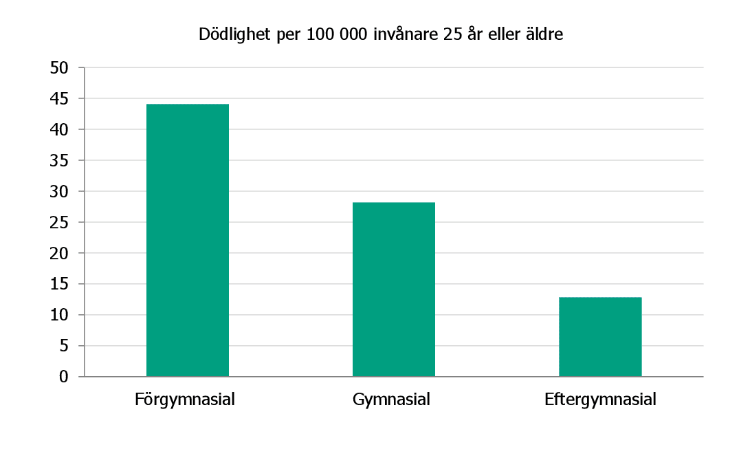 Dödligheten i alkoholdiagnoser är mycket högre bland personer med kort utbildning än bland personer med lång utbildning. Dödligheten är mer än 3 gånger högre i gruppen med kort utbildning.