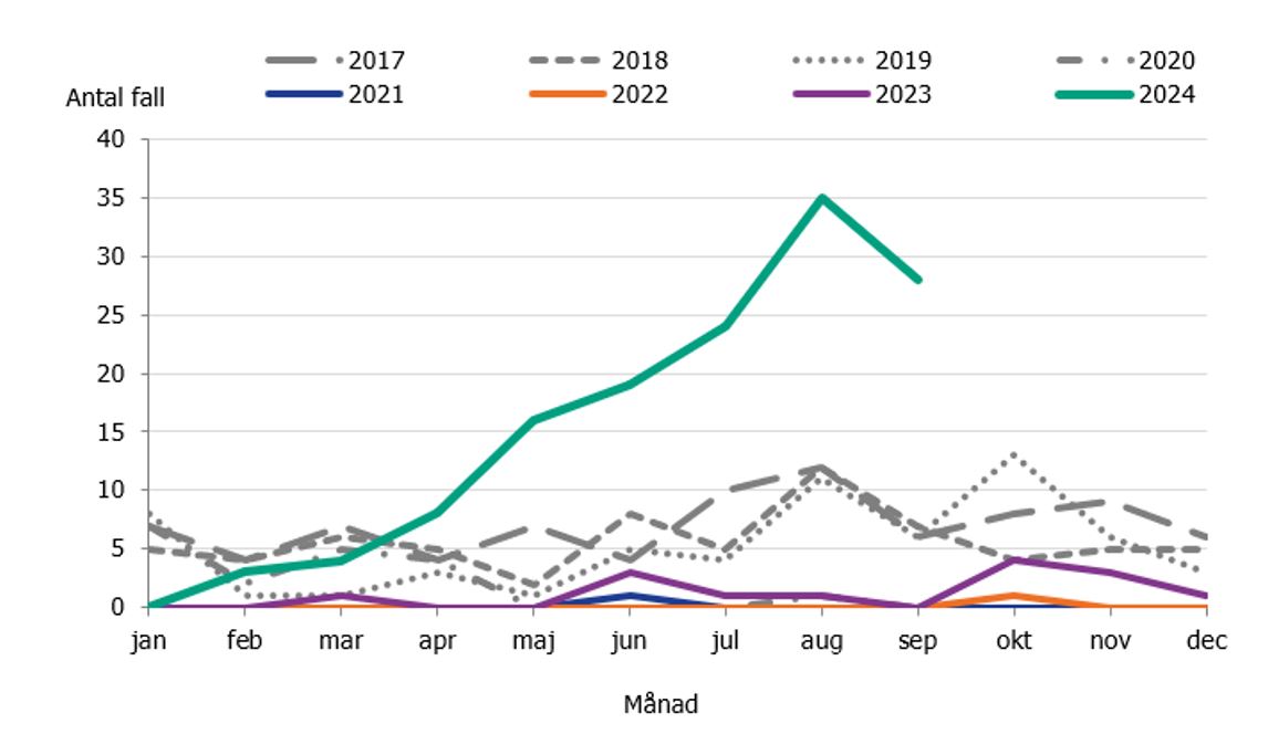 Antalet fall av kikhosta per månad bland barn yngre än 1 år är fler än perioden 2017-2023. I september 2024 rapporterades 28 fall.