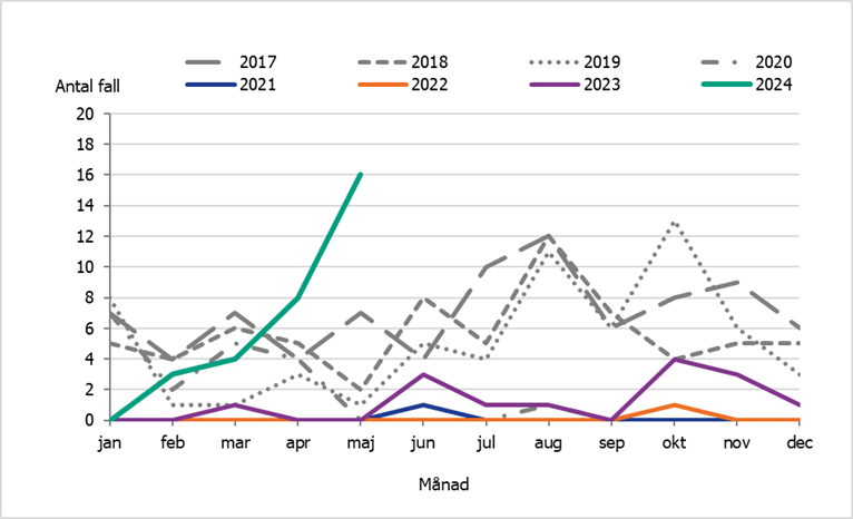 Antalet rapporterade fall av kikhosta per månad bland barn yngre än 1 år är stigande och betydligt fler än motsvarande period åren 2017-2023. I maj 2024 rapporterades 16 fall.