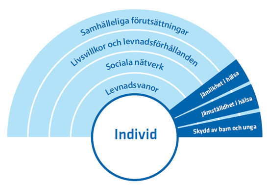 Modell över hälsans bestämningsfaktorer. Innerst i modellen ligger individnivå, sen följer fyra olika lager av levnadsvanor, sociala nätverk, livsvillkor och levnadsförhållanden samt samhälleliga förutsättningar. 