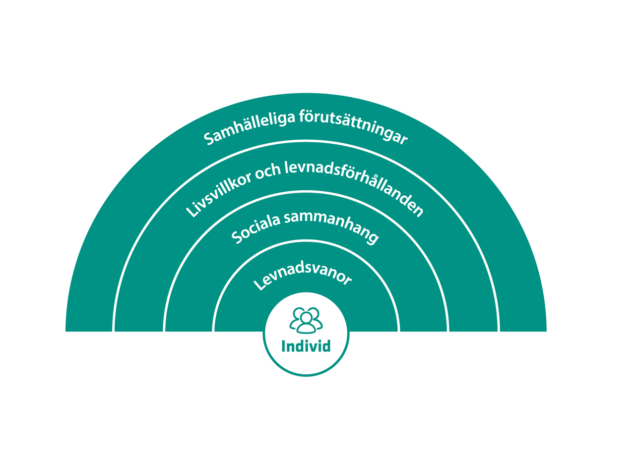 Med individen som utgångspunkt visar modellen de dimensioner som påverkar hälsa. I det yttre lagret finns de samhälleliga förutsättningarna, därefter livsvillkor och levnadsförhållanden, sociala sammanhang och närmast individen levnadsvanor.