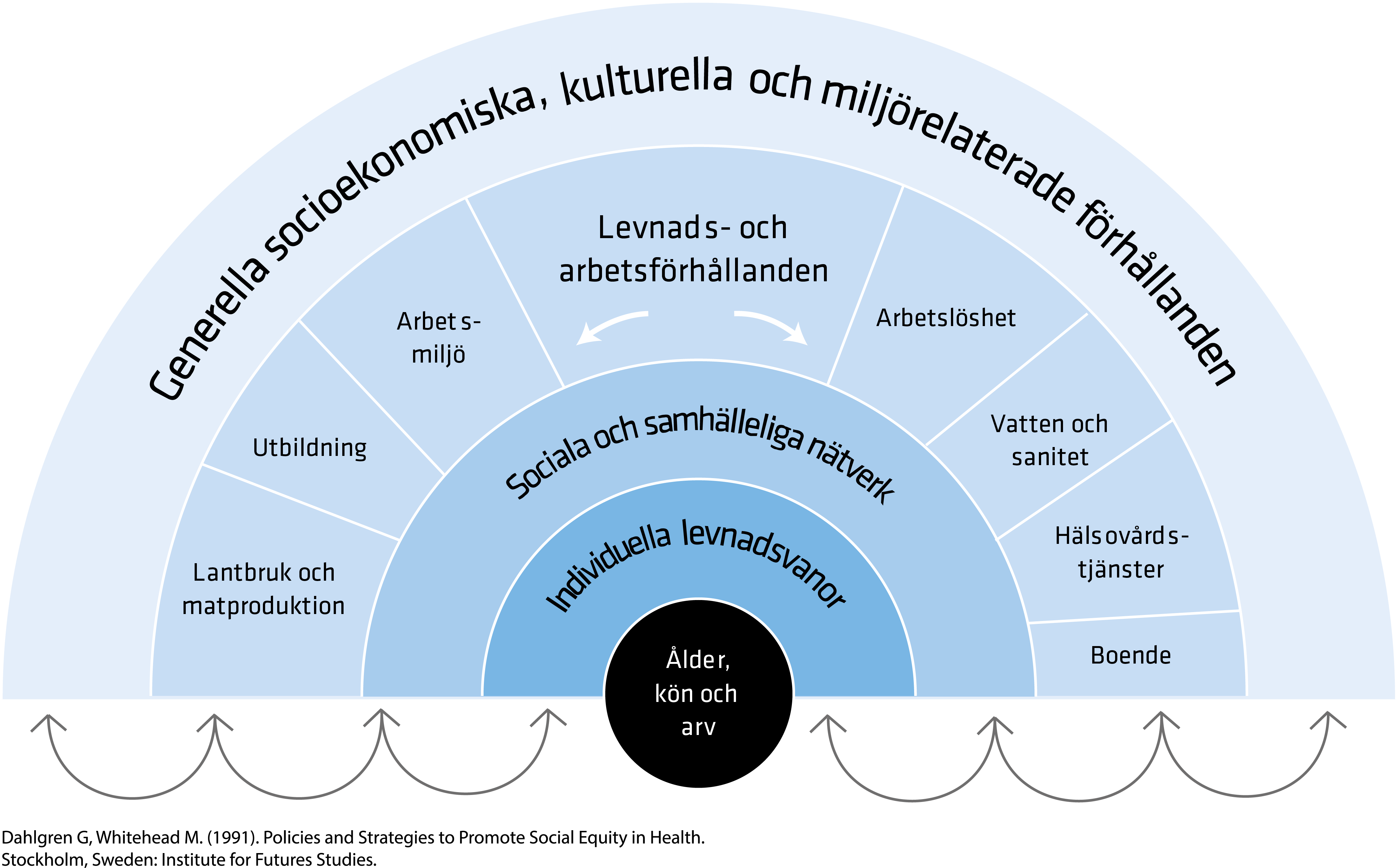 Modellen av för bestämningsfaktorer i hälsa. Modellen kallas för regnbågsmodellen eller solfjädern och är indelad i niåver av policy. Nivåerna är ålder, kön och arv, individuella levnadsvanor, sociala och samhälleliga nätverk, levnads- och arbetsförhållanden och generella socioekonomiska, kulturella och miljörelaterade förhållanden. Bestämningsfaktorer för hälsa eller risk- och skyddsfaktorer finns på alla nivåer i modellen.