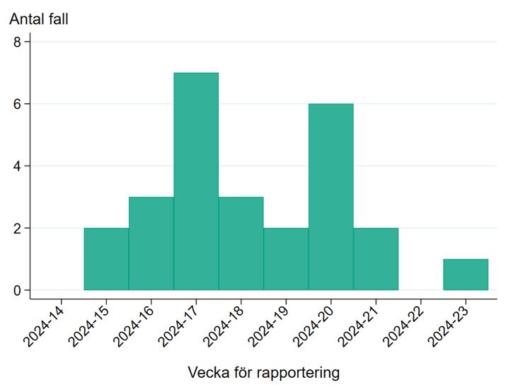 Sedan april 2024 har 26 fall av mpox rapporterats i Sverige.