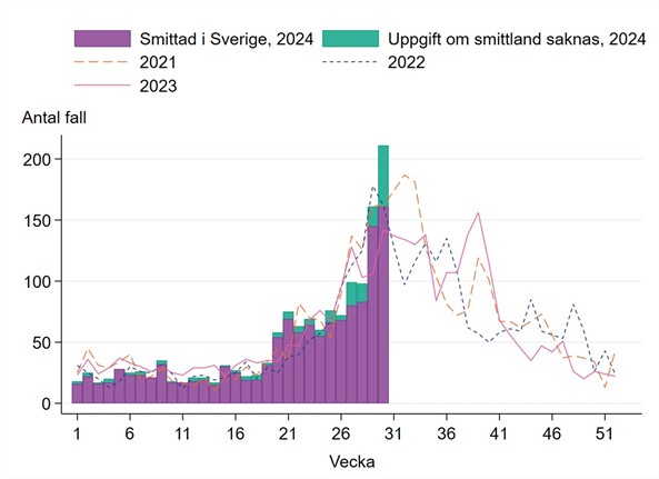 ”Fram till vecka 20 var antalet fall under 50 per vecka för att sedan öka, samma mönster kunde även ses 2021-2023”