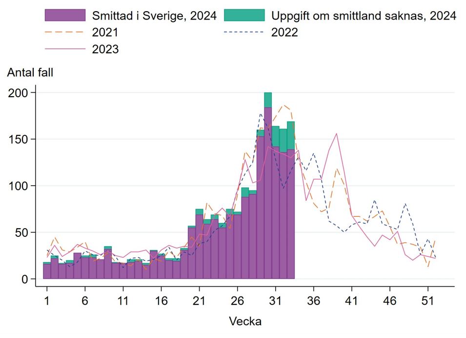 Ökningen 2024 är framför allt under juli och augusti, gäller även åren 2021–2023.