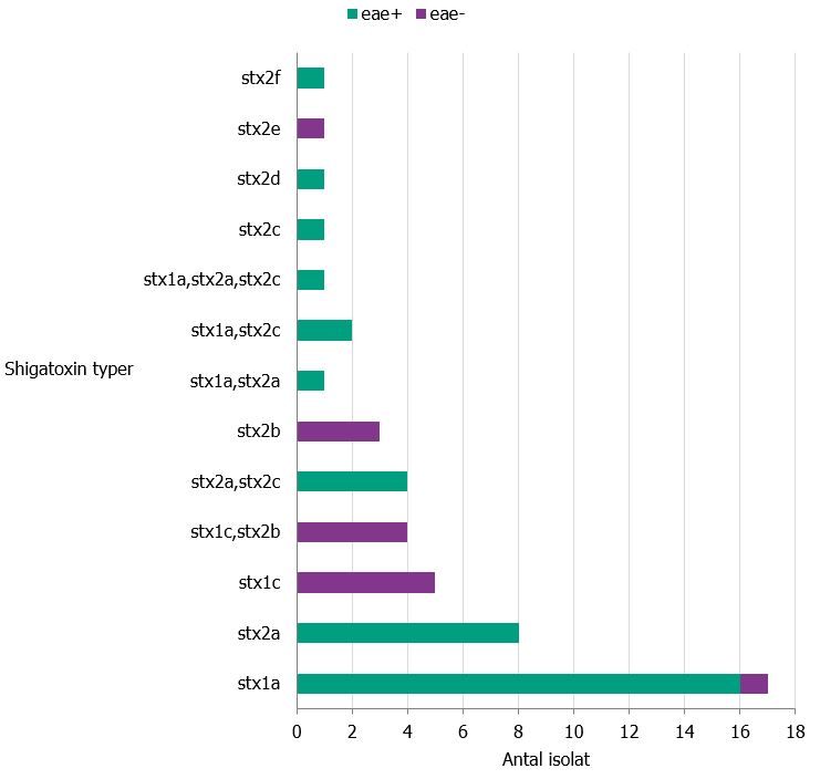 Diagrammet visar fördelning av shigatoxinsubtyper och eae för inkomna isolat under perioden 1 oktober till 31 december 2020 (n= 49).