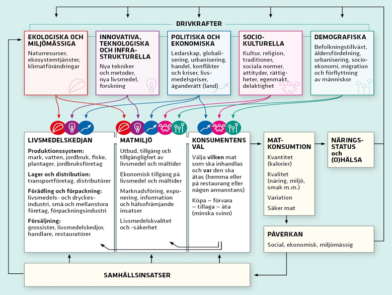 Bärande delar i systemet är livsmedelskedjan, matmiljön, konsumenters beteende och val och deras drivkrafter.