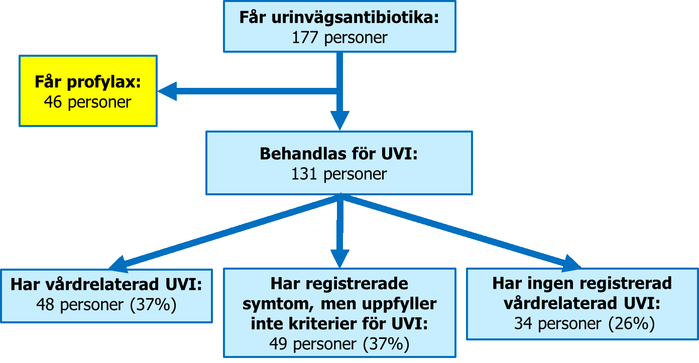 Schematisk bild som visar hur antibiotika ordinerad för urinvägarna fördelas på infektionsbehandling samt profylax, samt, hur de antibiotika för infektionsbehandling relaterar till samtidig registrering av en vårdrelaterad urinvägsinfektion. 