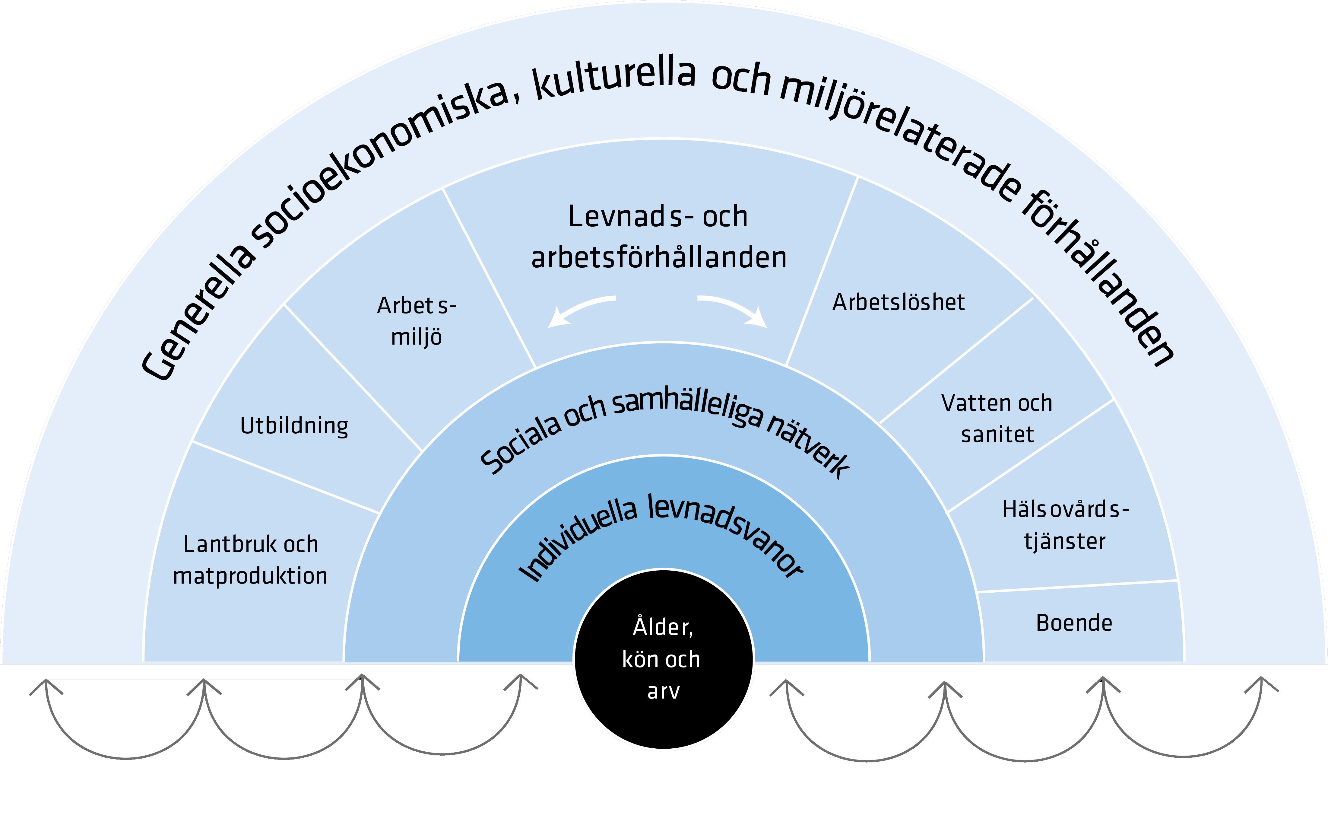 Se figurrubrik och omgivande text för en beskrivning av modellen.