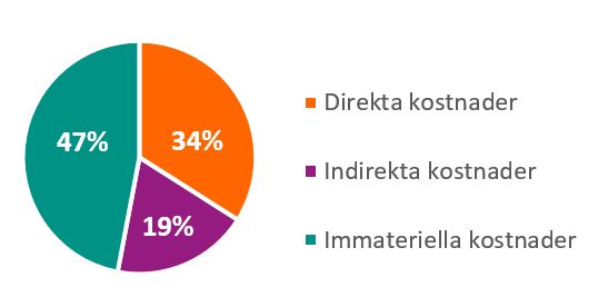 Immateriella kostnader står för 47 %, direkta kostnader för 34 % och indirekta kostnader för 19 % av de totala kostnaderna.