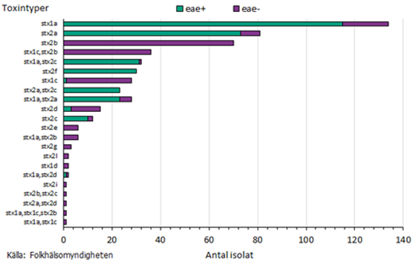 Fördelning av toxinsubtyper hos samtliga typade isolat 2023 visar att de vanligaste är stx1a och stx2a där hälften är eae positiva. Källa: Folkhälsomyndigheten.