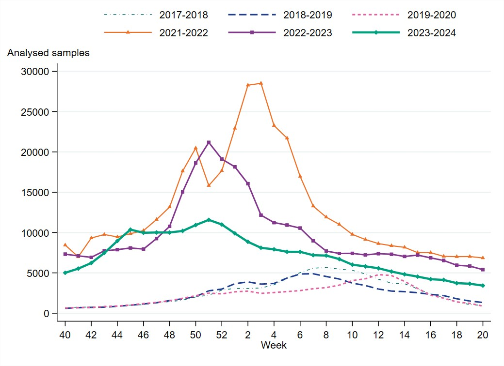 The highest testing 2023-2024 was seen week 51, after that decreasing. Testing peak was lower than the two previous seasons. 